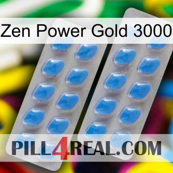 Zen Power Gold 3000 23